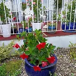 Apartment-hotel Perle Am Bodden Hotell Ribnitz-Damgarten