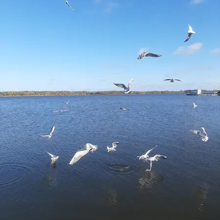 Perle Am Bodden Ribnitz-Damgarten