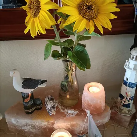 Apartment-hotel Perle Am Bodden