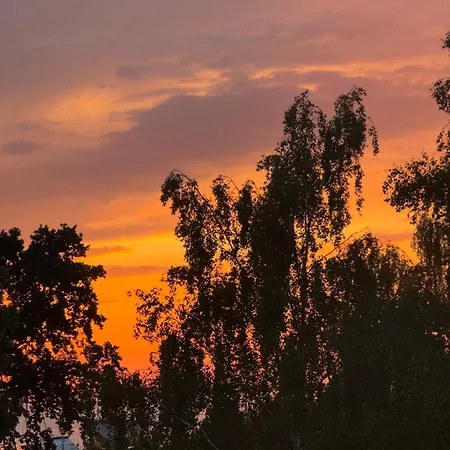 ホテル Apartment-hotel Perle Am Bodden リーブニッツ・ダムガルテン